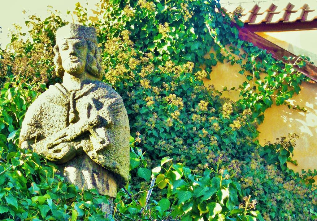 Garden Residence Prague Castle Exteriör bild